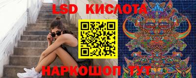 прущие крисы Бийск