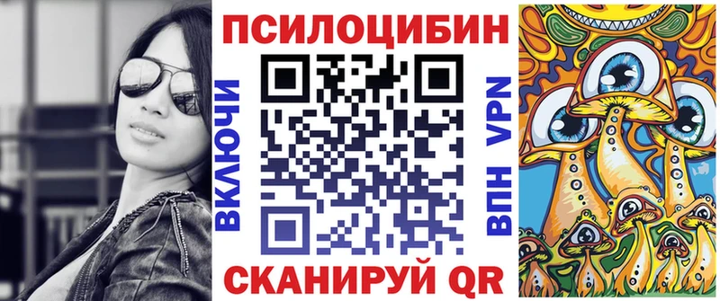 mega tor  Выкса  Галлюциногенные грибы Psilocybe 