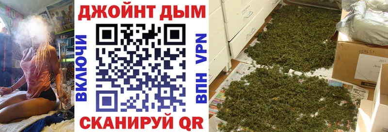 купить закладку  Выкса  Бошки марихуана White Widow 