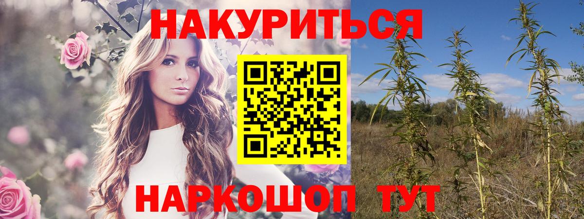 Конопля AK-47  Каннабис White Widow  Выкса  Бошки Шишки сатива  МАРИХУАНА план  Вход с VPN 